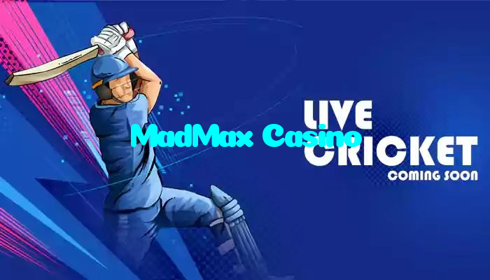 available types of MadMax Casino bet including pre-match live express and system bets